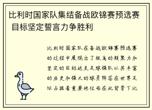 比利时国家队集结备战欧锦赛预选赛 目标坚定誓言力争胜利