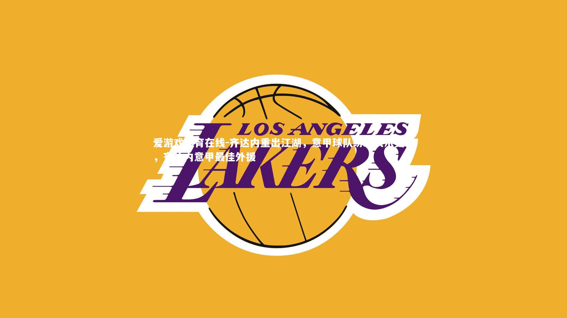 齐达内重出江湖，意甲球队纷纷表示关注，齐达内意甲最佳外援