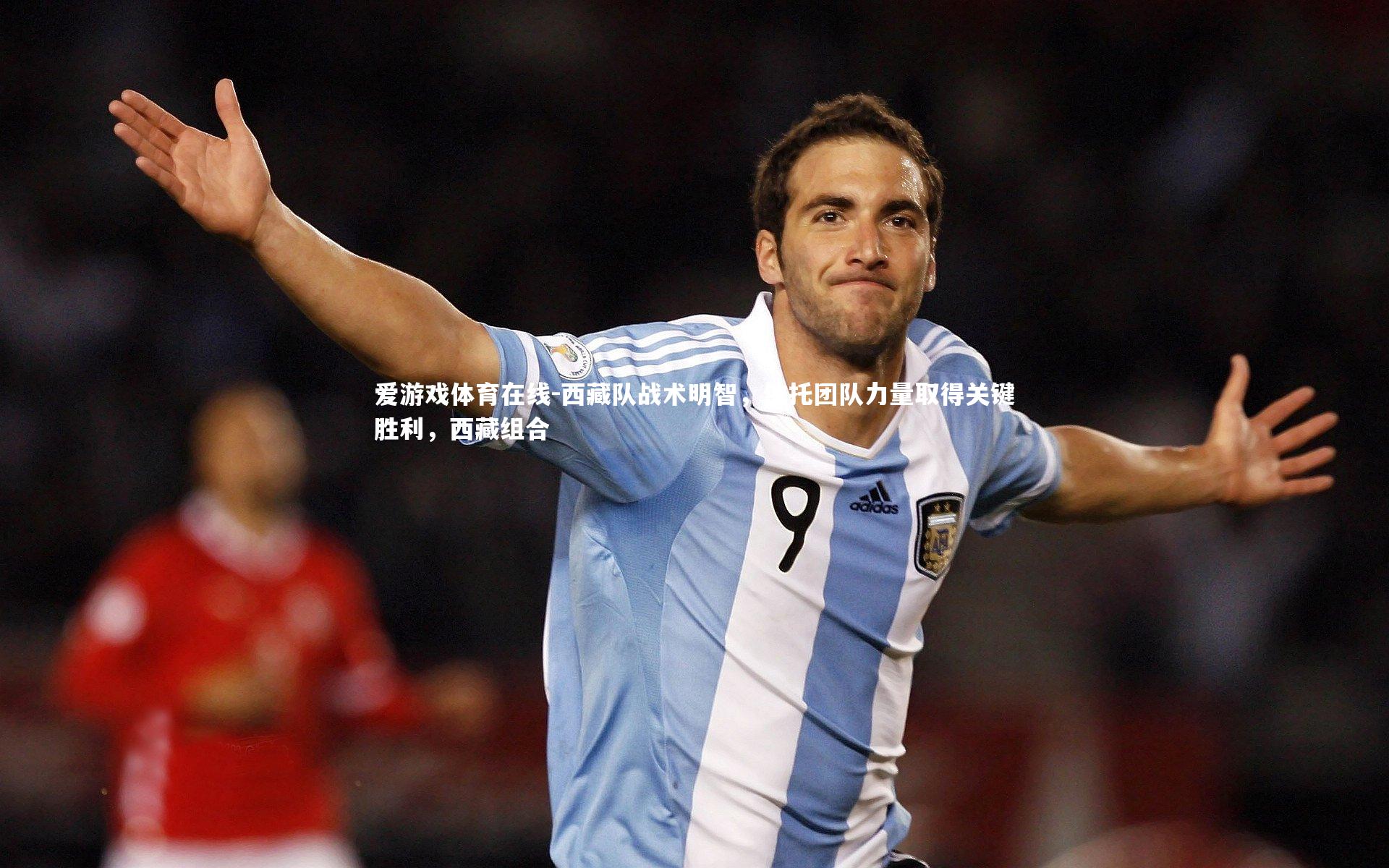 西藏队战术明智，依托团队力量取得关键胜利，西藏组合